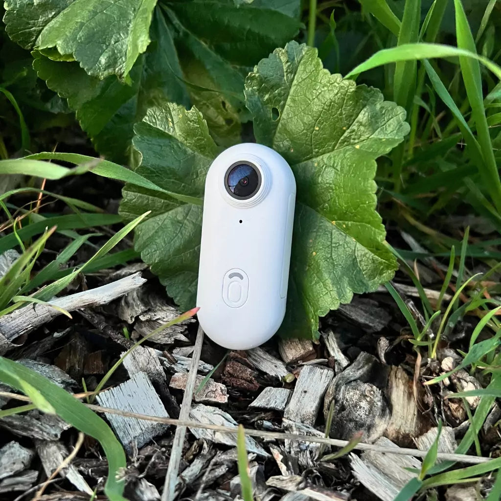 EquineCamera™ | Hands-Free POV Camera