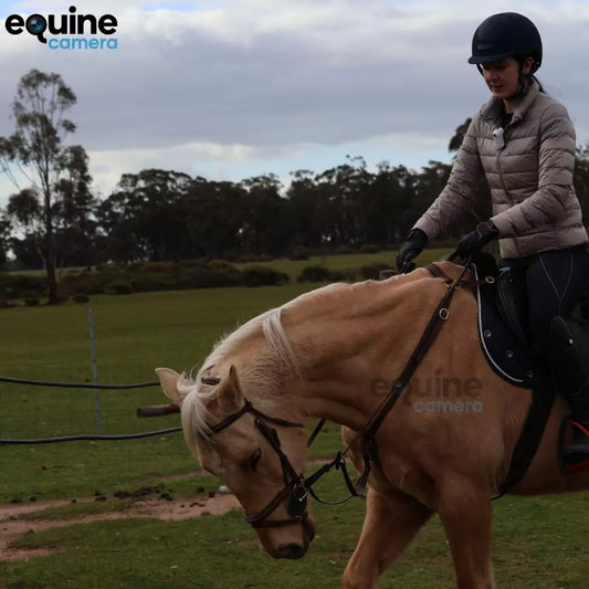 EquineCamera™ | Hands-Free POV Camera